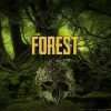 سی دی کی اورجینال The Forest