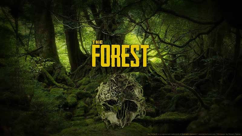 سی دی کی اورجینال The Forest