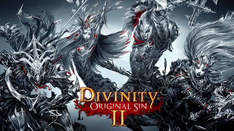 سی دی کی بازی Divinity Original Sin 2 اورجینال