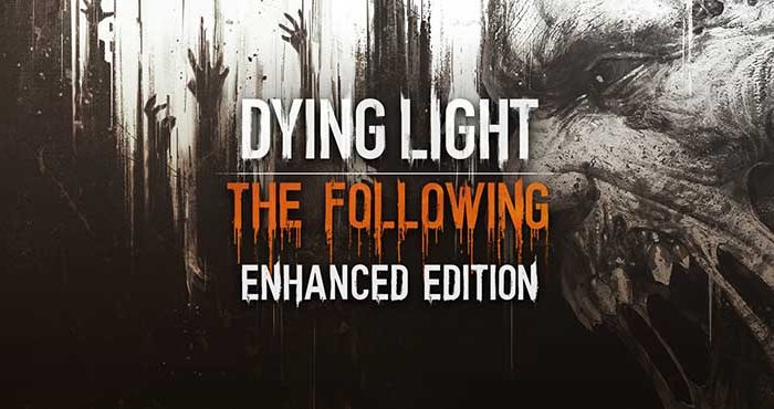 سی دی کی اورجینال Dying Light The Following Enhanced Edition