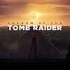 سی دی کی اورجینال بازی Shadow of the Tomb Raider