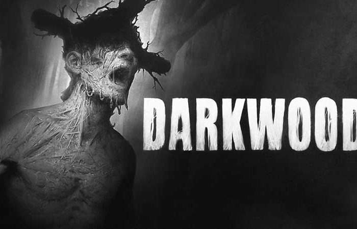 سی دی کی اورجینال بازی Darkwood