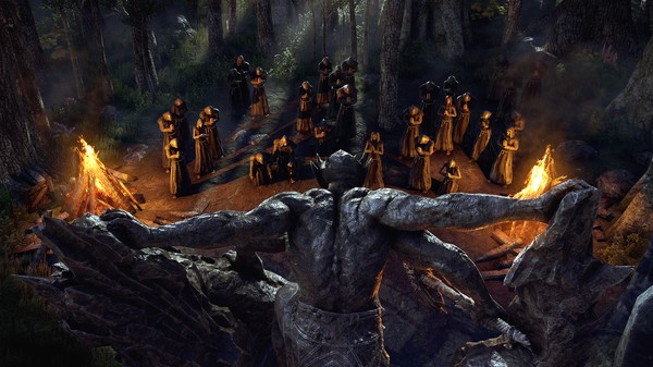 سی دی کی اورجینال The Elder Scrolls Online – Blackwood