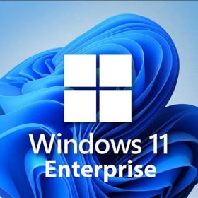 لایسنس ویندوز 11 اینترپرایز (Windows 11 Enterprise OEM)