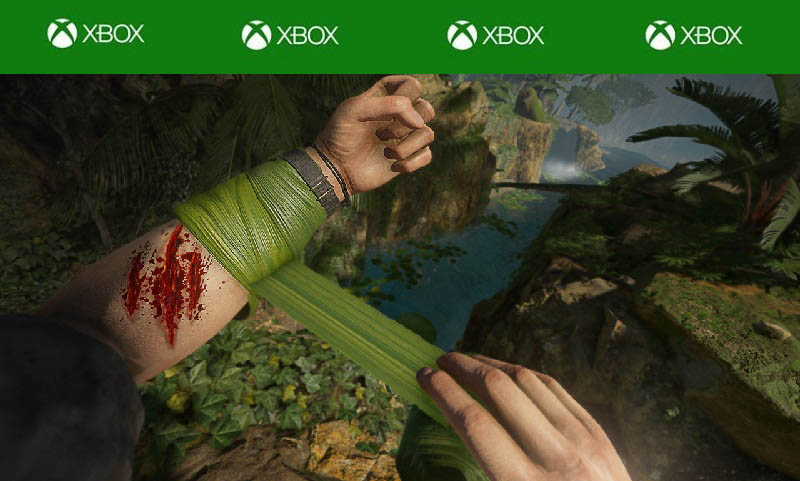 سی دی کی بازی Green Hell ایکس باکس (Xbox)
