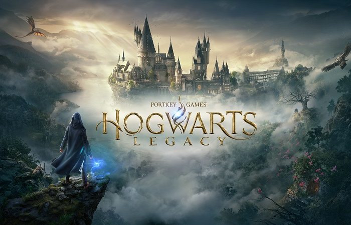 سی دی کی اورجینال بازی Hogwarts Legacy کامپیوتر (PC)