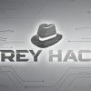 سی دی کی اورجینال بازی Grey Hack کامپیوتر (PC)
