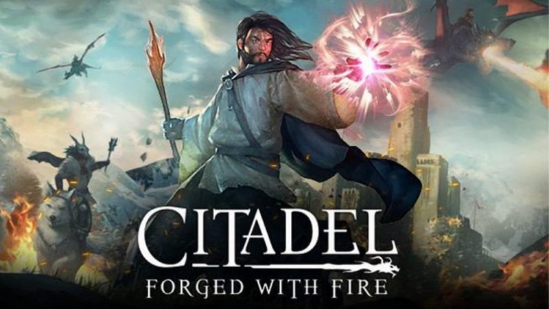 سی دی کی اورجینال بازی Citadel Forged with Fire کامپیوتر (PC)