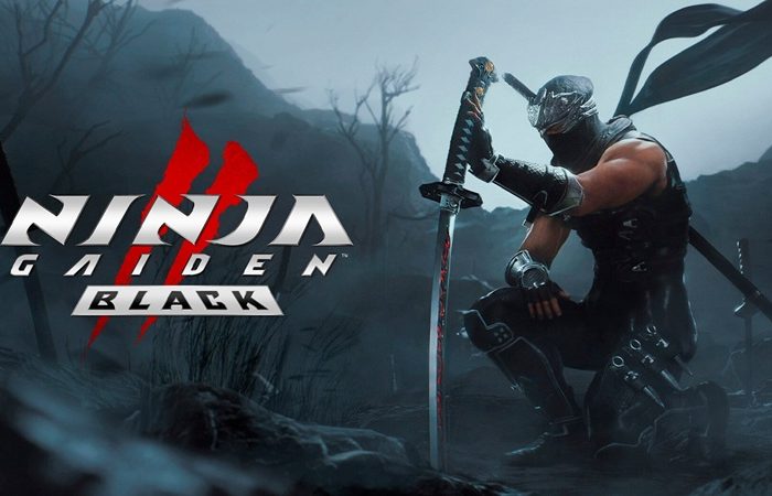 سی دی کی اورجینال بازی NINJA GAIDEN 2 Black کامپیوتر (PC)