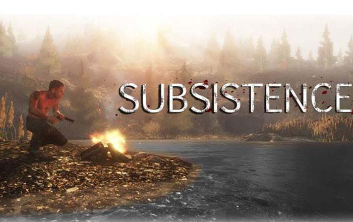 سی دی کی اورجینال بازی Subsistence کامپیوتر (PC)